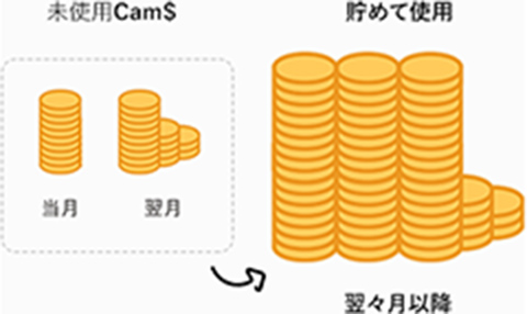 未使用Cam$ → 貯めて使用。翌々月以降。