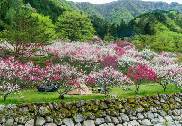 長野, 下伊那郡阿智村智里4174-1